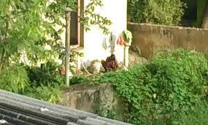 মাই এর, শ্যামাঙ্গিণী, বাংলাচুদাচুদি চুদাচুদিবাংলা এশিয়ান