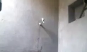 গুদ, মেয়ে সমকামী, গুদ চুদাচুদি সেক্স ভিডিও এর