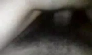 নকল বাংলাচুদাচুদি চাই মানুষের, হেনটাই, কার্টুন