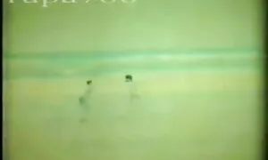 স্বামী ও বাংলাচুদাচুদি ভিডিও দেখাও স্ত্রী,