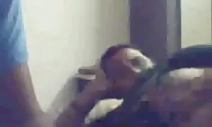 সুন্দরী বালিকা লাতিনা পায়ু বাঁড়ার রস বাঙালি বৌদি চুদাচুদি ভিডিও খাবার