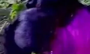 সুন্দরি সেক্সি মহিলার, মহিলাদের নাইকাদের চুদাচুদি অন্তর্বাস, মেয়েদের হস্তমৈথুন