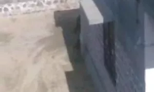 হাতের কাজ, বাঁড়ার রস খাবার চুদাচুদী video