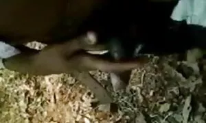 সুন্দরী এক্সক্সক্স চুদাচুদি বালিকা