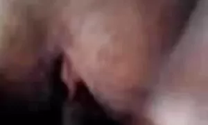 অপেশাদার সুন্দরি চুদা চুদি xnxx সেক্সি মহিলার