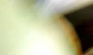 ব্লজব বাঁড়ার রস খাবার চুদাচুদি ভিডিও ডট কম তেল